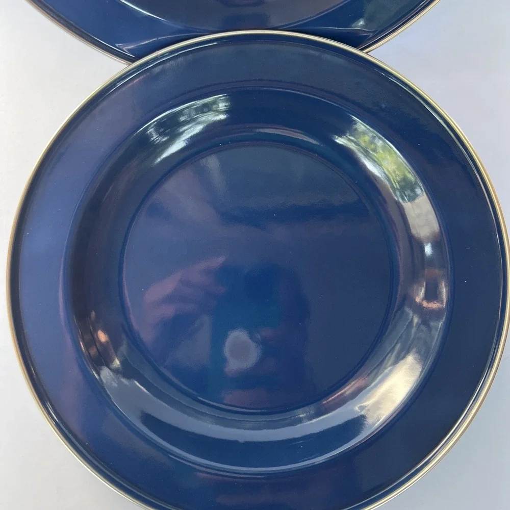 Discontinued Pottery Barn Enamelware Plate Blue 10